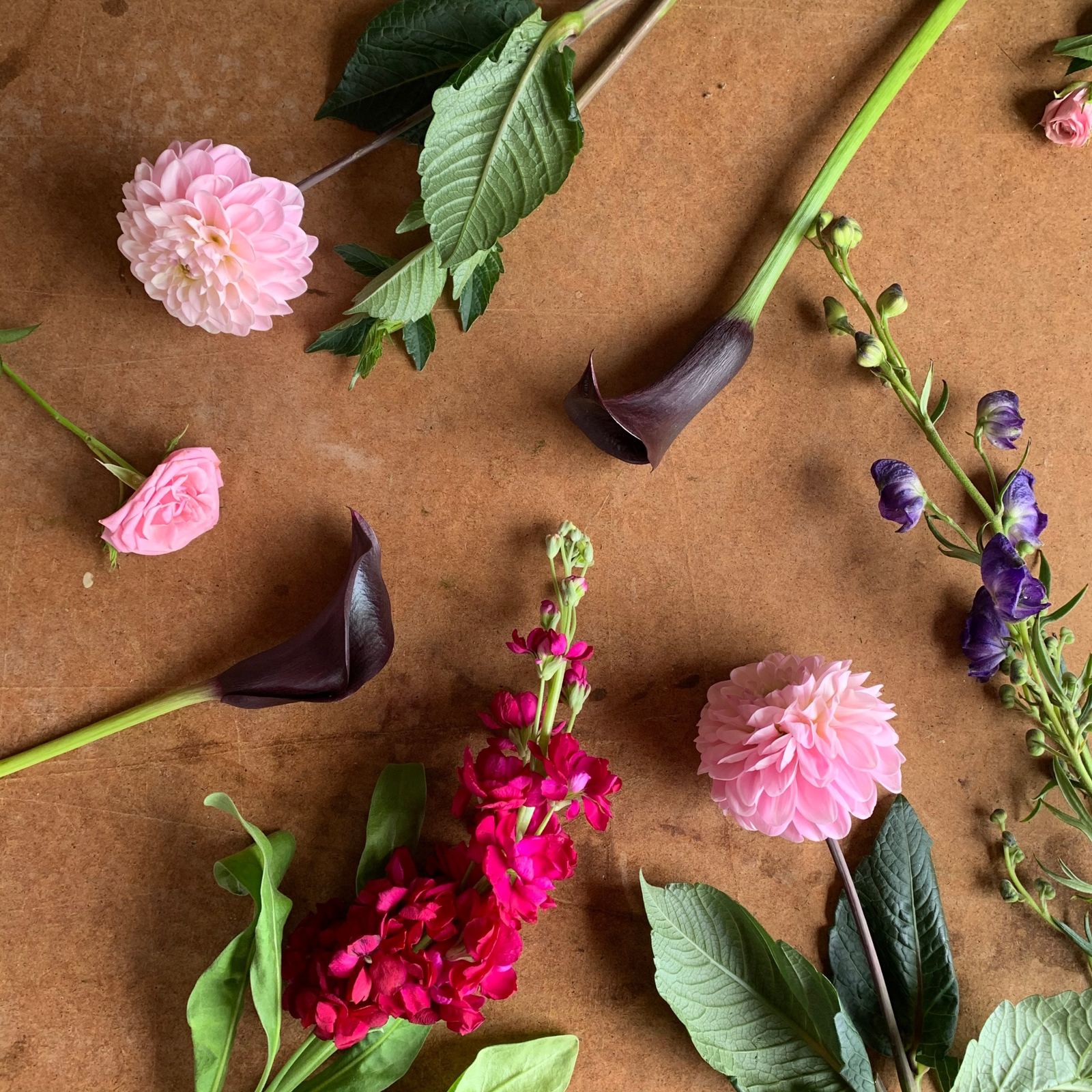Pink dahlias, dark calla lilies, monkshood and stocks laid out on a wooden board